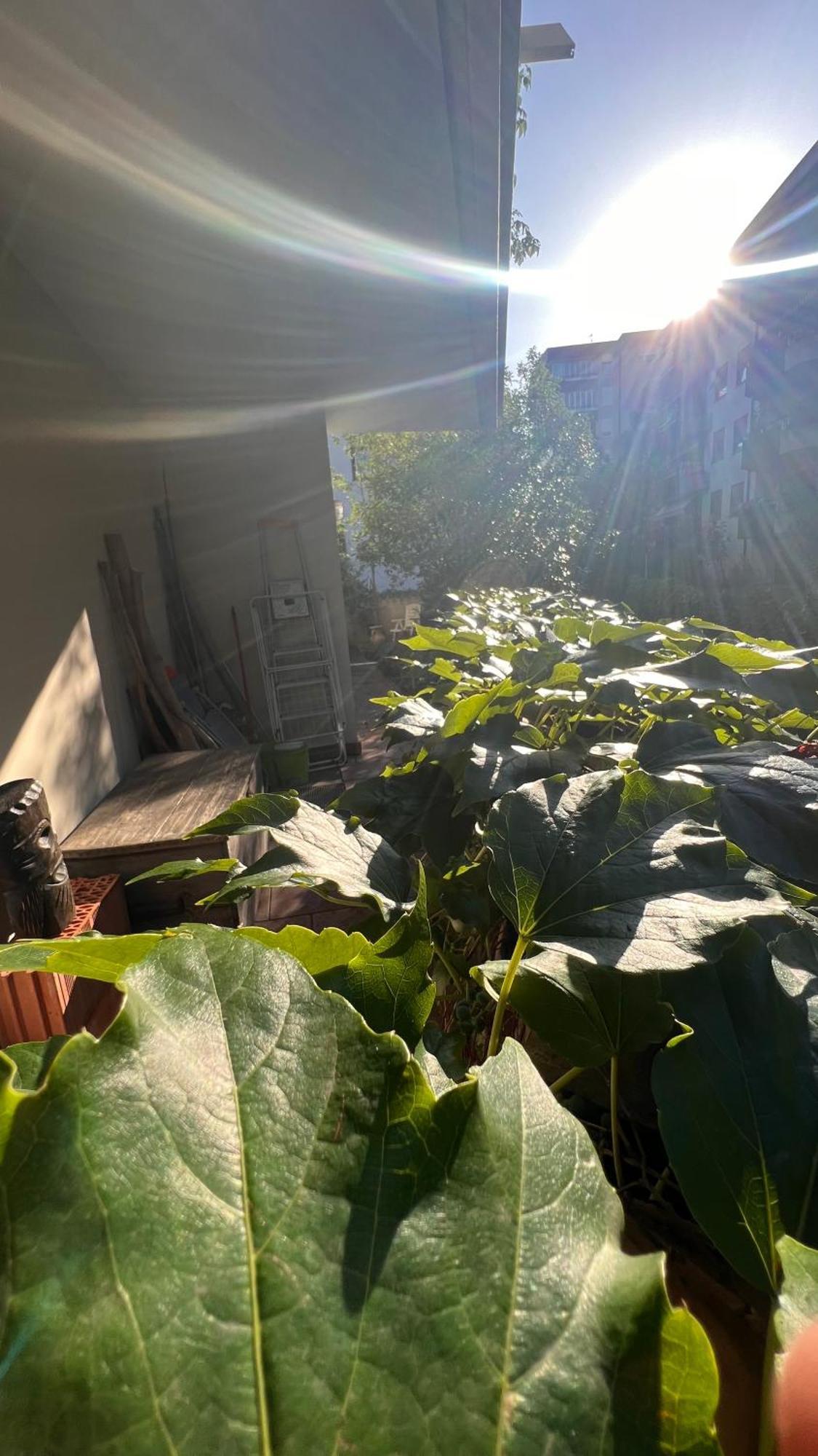 Garden Suite Больцано Екстер'єр фото