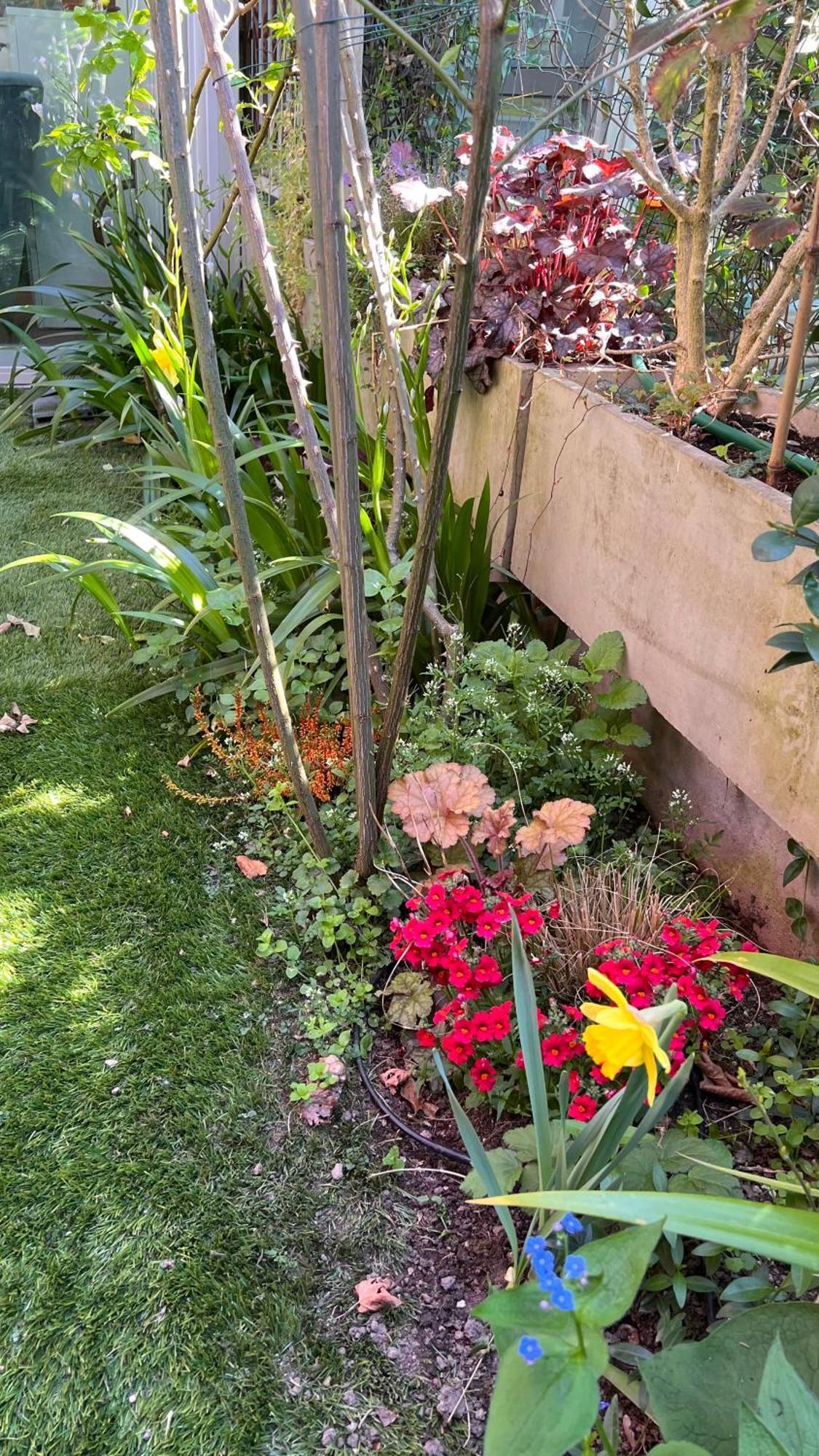 Garden Suite Больцано Екстер'єр фото